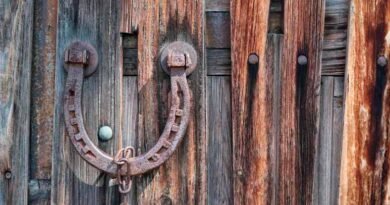 Origen de las herraduras de la buena suerte 3 herraduras