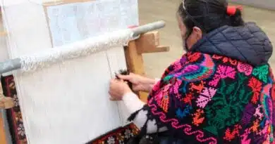 Temoaya: tejedores de tapetes anudando una cultura viva Temoaya