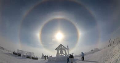 Halo solar