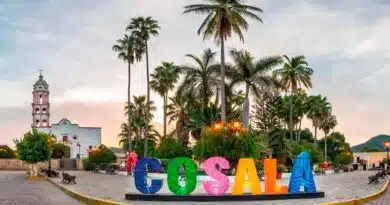 Cosalá