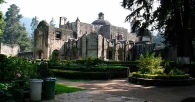 ¿Por qué se llama Desierto de los Leones? 3 Desierto de los Leones