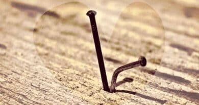 ¿Un clavo saca a otro clavo, qué hay de cierto? 2 Clavo