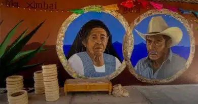 ¿Conoces las artesanías de ixtle? ixtle