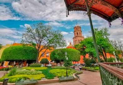 Jardín Zenea