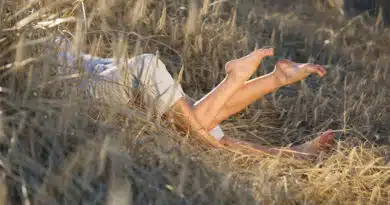 sexo verde la sexualidad