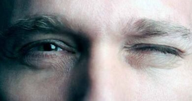 ¿Dejamos de ver cuando parpadeamos? 1 Parpadeamos