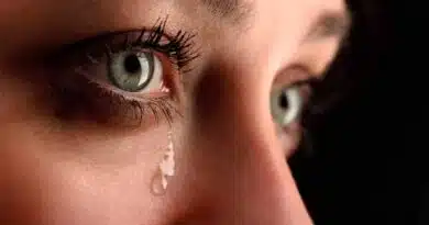 lloramos