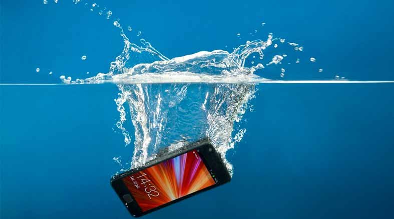 Celular