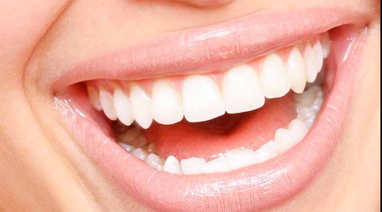 Los dientes