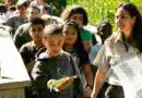 Turismo educativo