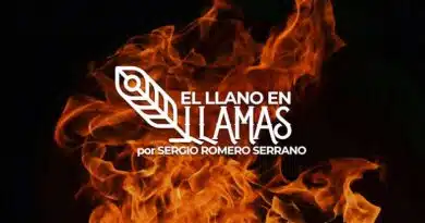 El proceso