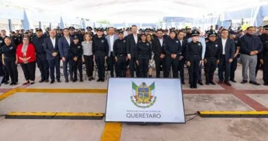 46 nuevos
