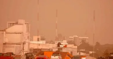 Llegará