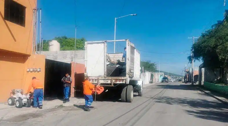 SESA realiza Jornada de Recolección de Tiliches en Pintillo 1 SESA