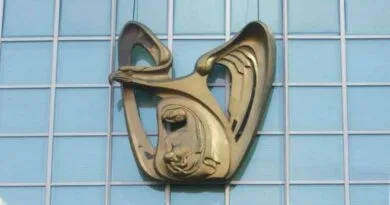El IMSS, enfermedades