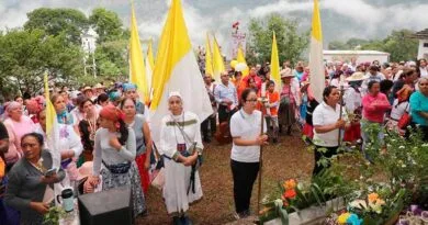 peregrinas