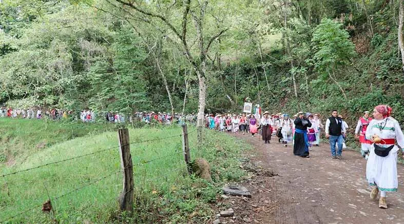 peregrinas