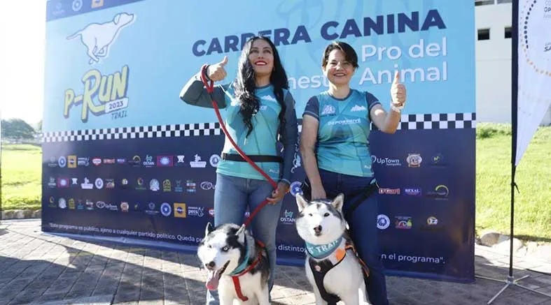 Invitan a la tercera carrera canina P-Run 2023 1 carrera canina