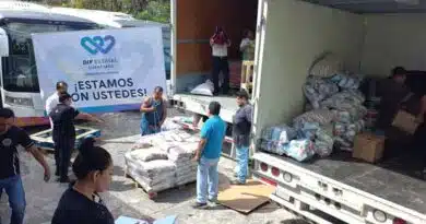 DIF Guerrero
