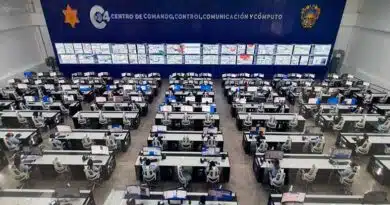El C4