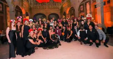bodas