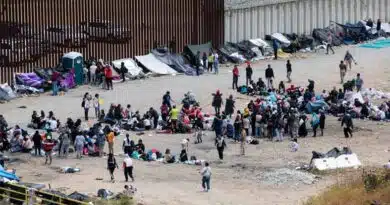 oleada migrante