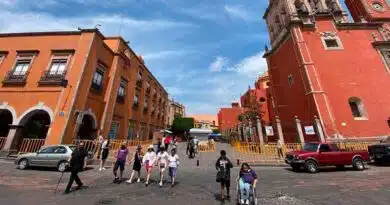 Felifer