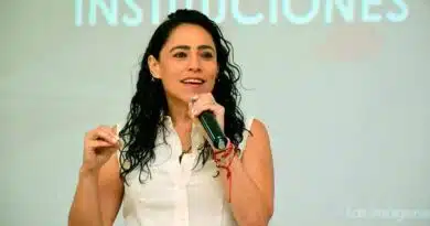 proyecto de
