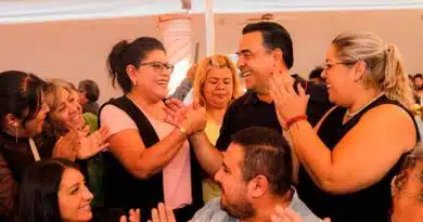 Comités