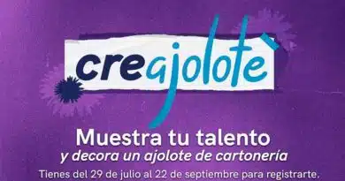 en Creajolote