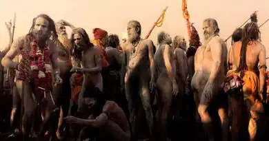 Sapiens