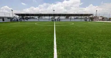 fútbol 7
