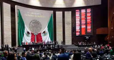 Diputados