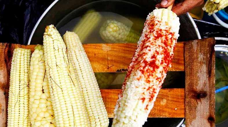 Elotes