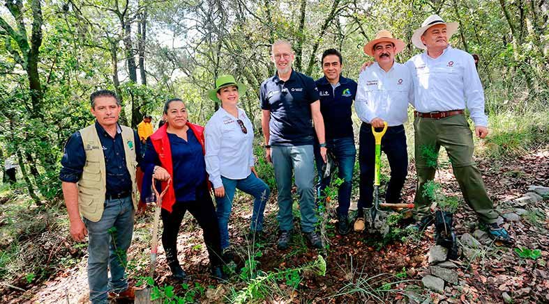 en reforestación