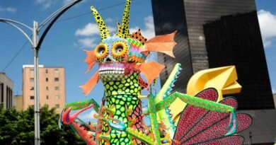 Desfile de Alebrijes