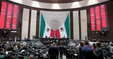 Diputados
