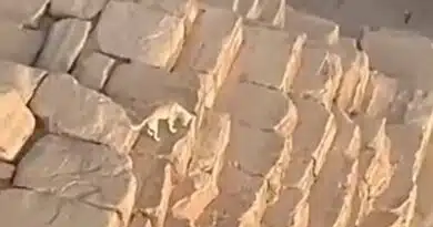 Giza