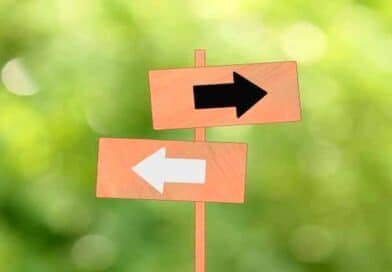 La vida