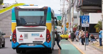 Qrobus cuenta con 34 nuevos autobuses 4 nuevos autobuses