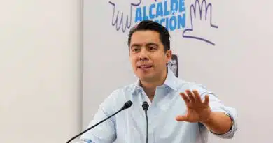 Felifer