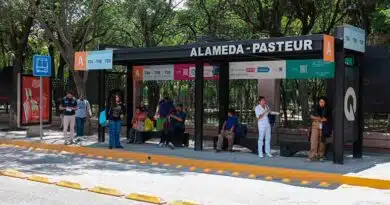 vial en