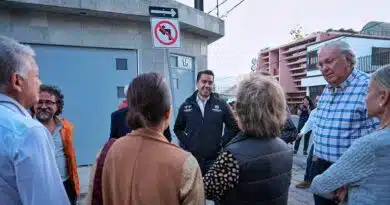 Felifer