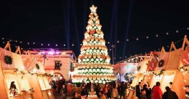 Tequisquiapan inaugura Villa Navideña y árbol artesanal 1 Tequisquiapan