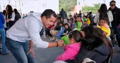 Felifer