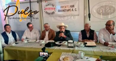 Al gobierno