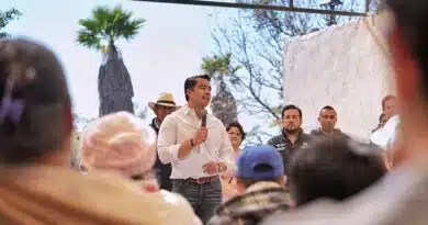 Felifer