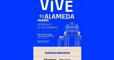 Vive