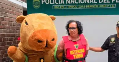 Detenido