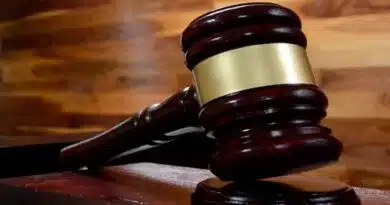 elección judicial